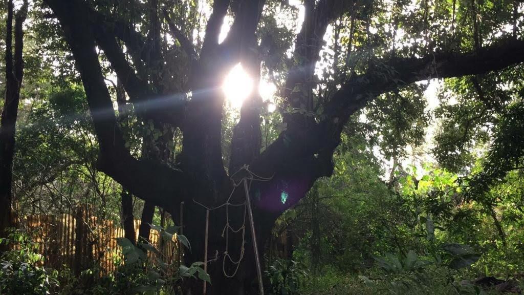 Pousada Chacara Rama Botucatu Εξωτερικό φωτογραφία